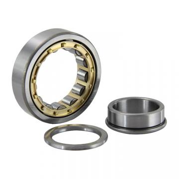 Cylindrical roller bearing NJ  NF series Bearing manufacturer 